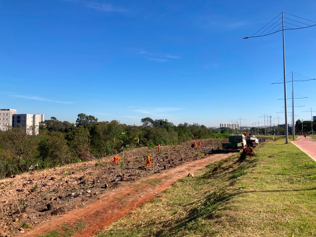 Parque Lago da Fé ganhará mil mudas de espécies nativas, após remoção de plantas invasoras