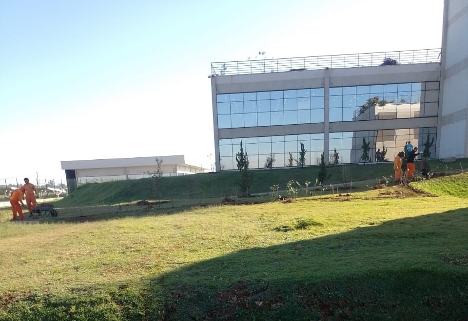 Entorno do Paço Municipal ganha 180 mudas